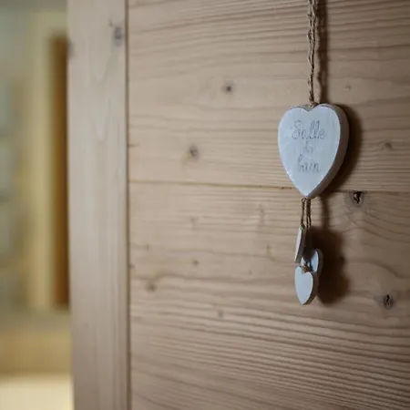 Bel Horizon La Montagne Des Lamas