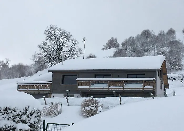 Bel Horizon La Montagne Des Lamas La Bresse