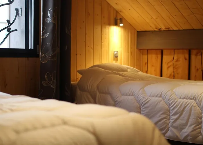 Bel Horizon La Montagne Des Lamas La Bresse